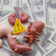 Human Organs and Warning Triangle on Hundred-Dollar Bills Representing Medical Costs Risks Human Organs and Warning Triangle on Hundred-Dollar Bills Representing Medical Costs Risks - PhotoDune Item for Sale