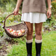 Close-up woman in cozy sweater and rubber boots harvesting fresh apples in garden Close-up woman in cozy sweater and rubber boots harvesting fresh apples in garden - PhotoDune Item for Sale