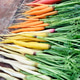 Colorful rainbow carrots on a wooden table. Organic vegetables Colorful rainbow carrots on a wooden table. Organic vegetables - PhotoDune Item for Sale