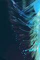 Amazing and vibrant macro of blue fiber optical Amazing and vibrant macro of blue fiber optical - PhotoDune Item for Sale