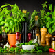 Still Life with Fresh Cooking Ingredients and Herbs Still Life with Fresh Cooking Ingredients and Herbs - PhotoDune Item for Sale