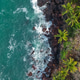 Aerial top view on tropical beach with green palm trees under sunlight Drone view in Goa Aerial top view on tropical beach with green palm trees under sunlight Drone view in Goa - PhotoDune Item for Sale
