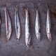 Anchovy Fresh Marine Fish.Appetizer Anchovy Fresh Marine Fish.Appetizer - PhotoDune Item for Sale