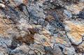 Gray rock surface with colorful lichens for background or texture Gray rock surface with colorful lichens for background or texture - PhotoDune Item for Sale