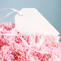 Blank Tag in Bouquet of Pink Carnations. Blank Tag in Bouquet of Pink Carnations. - PhotoDune Item for Sale