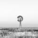 Windmill and dam in maize field ready for harvest. Monochrome Windmill and dam in maize field ready for harvest. Monochrome - PhotoDune Item for Sale