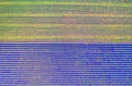 Nature background Nature background - PhotoDune Item for Sale