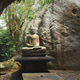 Serene Buddha Statue Surrounded by Nature's Embrace Serene Buddha Statue Surrounded by Nature's Embrace - PhotoDune Item for Sale