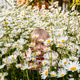 Little girl playing hide and seek in a field of flowers Little girl playing hide and seek in a field of flowers - PhotoDune Item for Sale