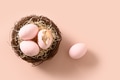Easter eggs in nest on pink background. Easter eggs in nest on pink background. - PhotoDune Item for Sale