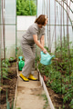 Mature woman with watering can gardening in greenhouse at home - shot in slow motion Mature woman with watering can gardening in greenhouse at home - shot in slow motion - PhotoDune Item for Sale