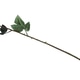 Red Artificial Rose Isolated Red Artificial Rose Isolated - PhotoDune Item for Sale