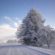 Snowy Country Road Lined With Frosted Trees Under Clear Blue Sky Snowy Country Road Lined With Frosted Trees Under Clear Blue Sky - PhotoDune Item for Sale