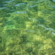 Vibrant green water, light and movement Vibrant green water, light and movement - PhotoDune Item for Sale