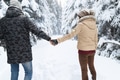 Young Couple Walking In Snow Forest Outdoor Man And Woman Holding Hands Back View Young Couple Walking In Snow Forest Outdoor Man And Woman Holding Hands Back View - PhotoDune Item for Sale
