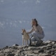 a girl with a dog on a mountain top a girl with a dog on a mountain top - PhotoDune Item for Sale