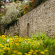 Roman wall in a garden Roman wall in a garden - PhotoDune Item for Sale