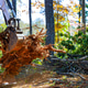 Heavy machinery removes tree roots debris from forested area during works day cleanup Heavy machinery removes tree roots debris from forested area during works day cleanup - PhotoDune Item for Sale