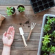 Hand holding seeds preparing for home gardening Hand holding seeds preparing for home gardening - PhotoDune Item for Sale