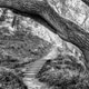 Clarens Spruit Walk and MTB trail footbridge. Monochrome Clarens Spruit Walk and MTB trail footbridge. Monochrome - PhotoDune Item for Sale