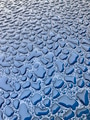 Water drops pattern on blue car after the rain background with copy space or Wallpaper & screensaver Water drops pattern on blue car after the rain background with copy space or Wallpaper & screensaver - PhotoDune Item for Sale