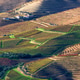 Aerial view of the terraces of vineyards, olive trees in the Douro Valley. Pinhao, Portugal, Europe Aerial view of the terraces of vineyards, olive trees in the Douro Valley. Pinhao, Portugal, Europe - PhotoDune Item for Sale