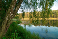 Landscape with a forest lake in summer Landscape with a forest lake in summer - PhotoDune Item for Sale
