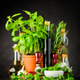 Still Life with Herbs and Cooking Ingredients Still Life with Herbs and Cooking Ingredients - PhotoDune Item for Sale