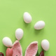 Easter Eggs with Bunny Ears and Tulips on Green Background. Spring Holiday Composition Easter Eggs with Bunny Ears and Tulips on Green Background. Spring Holiday Composition - PhotoDune Item for Sale