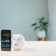 Digital savings mobile payment bank piggy phone payment save app shows online graphs, while black Digital savings mobile payment bank piggy phone payment save app shows online graphs, while black - PhotoDune Item for Sale