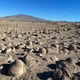 Geological Wonders! Sandstone Rock Concretions on the Desert Floor! Geological Wonders! Sandstone Rock Concretions on the Desert Floor! - PhotoDune Item for Sale