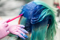 Side View Process of Dyeing Hair. Hairdresser Using Brush While Applying Blue Paint to Emerald Hair Side View Process of Dyeing Hair. Hairdresser Using Brush While Applying Blue Paint to Emerald Hair - PhotoDune Item for Sale