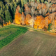 Aerial farmland field golden autumn forest edge landscape Allgau Germany Aerial farmland field golden autumn forest edge landscape Allgau Germany - PhotoDune Item for Sale
