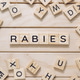 The image is a jumble of wooden letters that spell out the word rabies The image is a jumble of wooden letters that spell out the word rabies - PhotoDune Item for Sale