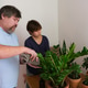 Father and teenage son caring for indoor plants at home, family bonding and sustainable lifestyle Father and teenage son caring for indoor plants at home, family bonding and sustainable lifestyle - PhotoDune Item for Sale
