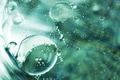 A beautiful and colorful macro of oil bubbles on water with a pl A beautiful and colorful macro of oil bubbles on water with a pl - PhotoDune Item for Sale