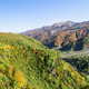 Beautiful landscape with mountains and road in autumn sunny weather. Caucasus Mountains, Georgia. Beautiful landscape with mountains and road in autumn sunny weather. Caucasus Mountains, Georgia. - PhotoDune Item for Sale