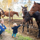 Middle Aged Woman And Toddler Watching Horses Middle Aged Woman And Toddler Watching Horses - PhotoDune Item for Sale