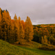 Beautiful autumn landscape of nature Beautiful autumn landscape of nature - PhotoDune Item for Sale
