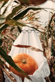 Ghost in glasses with pumpkin on corn field in autumn Ghost in glasses with pumpkin on corn field in autumn - PhotoDune Item for Sale