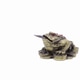 Feng Shui frog sitting on money on white background, Feng Shui, chinese culture, symbol of wealth Feng Shui frog sitting on money on white background, Feng Shui, chinese culture, symbol of wealth - PhotoDune Item for Sale