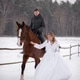 Smiling Bride Walking With Horse In Snow Smiling Bride Walking With Horse In Snow - PhotoDune Item for Sale