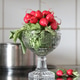 Fresh radishes in a high glass bowl in the kitchen Fresh radishes in a high glass bowl in the kitchen - PhotoDune Item for Sale