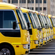 Row of school buses in Abu Dhabi, UAE Row of school buses in Abu Dhabi, UAE - PhotoDune Item for Sale
