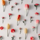 Creative layout made of colorful flowers on white background. Spring concept. Flat lay. Creative layout made of colorful flowers on white background. Spring concept. Flat lay. - PhotoDune Item for Sale