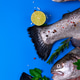 Several whole fresh trout, lime, rosemary, parsley, coarse salt, and peppercorns Several whole fresh trout, lime, rosemary, parsley, coarse salt, and peppercorns - PhotoDune Item for Sale