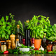 Still Life wit Cooking Ingredients, Herbs and Utensils Still Life wit Cooking Ingredients, Herbs and Utensils - PhotoDune Item for Sale