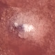 Texture of the pink salt. Close up of pink lake. Texture of the pink salt. Close up of pink lake. - PhotoDune Item for Sale