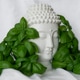 shot of a Buddha statue with green plant leaves in the foreground and background shot of a Buddha statue with green plant leaves in the foreground and background - PhotoDune Item for Sale