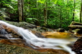 Slow flowing water in the forest . Slow flowing water in the forest . - PhotoDune Item for Sale